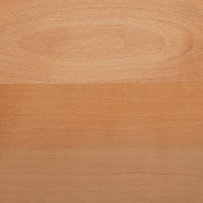 European Beech